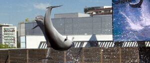 Pokaz delfinów podczas rejsu w Hiszpanii. Oceanarium w Walencji